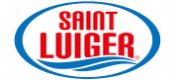 Saint Luiger